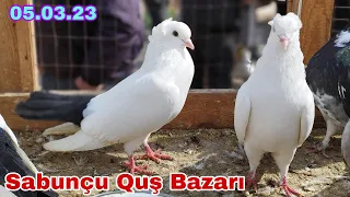 Sabunçu Quş Bazarı 5 Mart 2023 (Yeni Çekiliş)