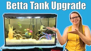 FISH TANK REMODEL: Upgrading My Betta Fish to a 10 Gallon Tank | Cosmo Gets a New Home