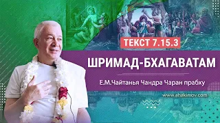 06/09/2022 Фестиваль «Садху-санга». «Шримад-Бхагаватам» 7.15.3. Е.М. Чайтанья Чандра Чаран прабху