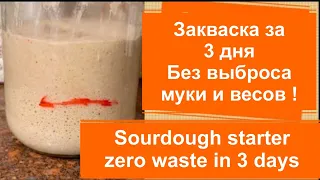.Zero waste. Sourdough starter from scratch in 3 days
