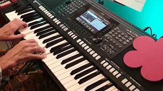 "Sweet Caroline"   🧡   Neil Diamond   -   Lovely Shuffle Style   -   Keyboard Cover Yamaha PSR-S775.