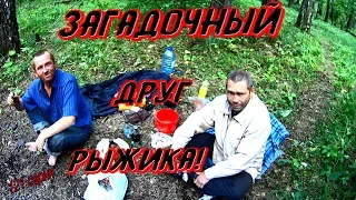 Один день среди бомжей / 121 серия - Рыжий и его  загадочный друг!(18+)