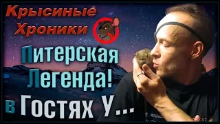 Питерская крыса ЛЕГЕНДА, или В Гостях У... Алёны и Саши. (Wild Rats | Дикие Крысы)