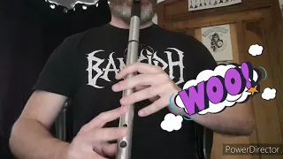 From Father to Son, The Sidh, Low Whistle cover