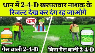 Paddy 2-4-D herbicide | ethyl Ester 38% | dimethyl amine salt 58% | 2 4 D | खरपतवार नाशक