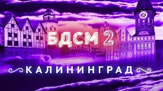 Прогулка с мэром Калининграда | Он вам не Кёнигсберг!