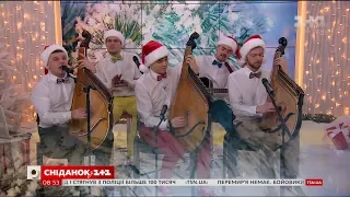 Шпилясті кобзарі перепели "Let it snow"