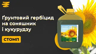 ҐРУНТОВІ СУМІШІ НА СОНЯШНИК І КУКУРУДЗУ. СТОМП