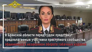 Ирина Волк: В Брянске перед судом предстанут обвиняемые в незаконном обороте табачных изделий