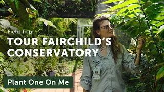 What's New with FAIRCHILD CONSERVATORY Tour — Ep. 343