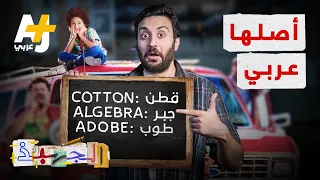 الجهبذ | كيف تقترض اللغات من بعضها؟ وهل يدل وجود كلمات أجنبية في لغة معينة على ضعفها؟