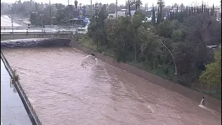 Live view of the LA River in Universal City