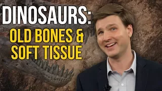 Dinosaur Soft Tissue | David Rives