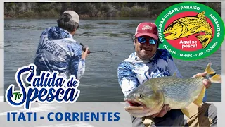 Pesca de DORADOS y... SORPRESA en POUSADA PUERTO PARAISO ITATI - CORRIENTES 🎣🔥