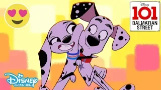 101 Dalmatian Street | Meet the Puppies! Trailer 🐾 | Disney Channel UK