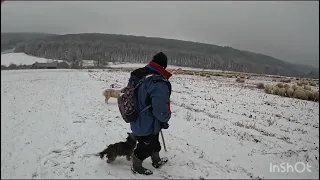 1000 OI PE TOCATURa .ALE  LUI DEDEAN IOAN BOBU.A 3 GENERAȚIE DE CIOBANI DIN  PINTIC.B-N