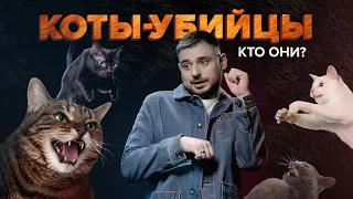 Домашние коты истребляют зверей | Идеальные хищники | Сортировочная