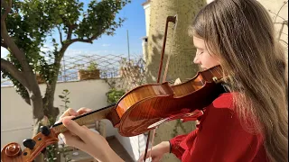 Italian strawberries for Karolina Protsenko