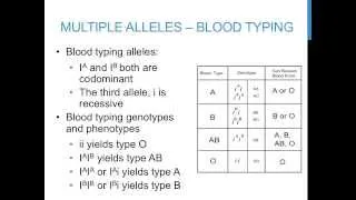 Punnett square practice problems (multiple alleles)