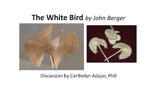 The White Bird by John Berger