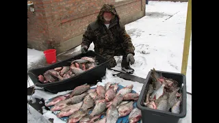 Крупный карась у камыша.  Детали под видео. 10 февраля Маныч  2023 г.