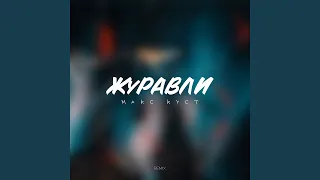 Журавли (Remix)