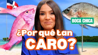 ¿Por qué pescado de BOCA CHICA es tan CARO?