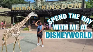 DISNEYWORLD: SPEND THE DAY WITH ME AT ANIMAL KINGDOM ORLANDO FL| People's Digest