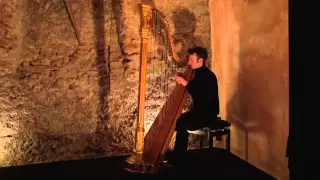 Franz Liszt - Hungarian Rhapsodie No.2 - Sylvain Blassel, harp