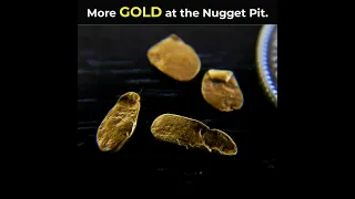 More GOLD found in the "Nugget Pit"