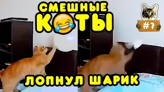 ПРИКОЛЫ МАЙ 2020 ЛУЧШИЕ ДО СЛЕЗ | ПРИКОЛЫ С КОТАМИ | СМЕШНЫЕ ВИДЕО С ЖИВОТНЫМИ #7