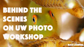 Behind the scenes at Alex Tattersall’s UW Photo Workshop at NAD Lembeh