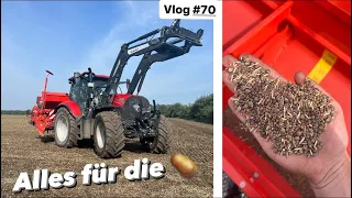 Die perfekte Zwischenfruchtmischung für Gemüse⁉️ | Farmvlog #70