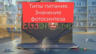 Значение фотосинтеза. Видеоуроки биологии на egebio.ru