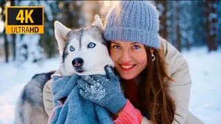 Cute Dogs and Puppy 4K UltraHD Video Mood Booster | Dogs 4K BBC Nature