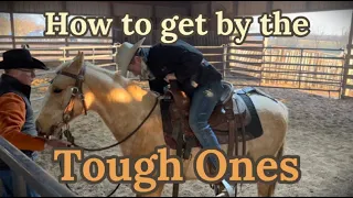 D/C  COLT STARTING Part. 1 of 3 | How to get by the tough ones