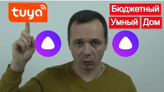 Очень бюджетный Умный дом от Tuya