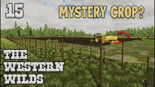 FS22 | THE WESTERN WILDS | 15 | MYSTERY CROP! | Farming Simulator 22 PS5 Let’s Play.