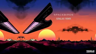 Spacebirds - Singles Team (P.1, 2024) (Synthwave/80's/Vaporwave/Retrowave)