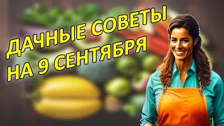 Советы огородникам на 9 сентября | Народные приметы