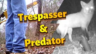 Caught on Trail Camera! Neighbors Called The Cops! Predator & Trespasser?!