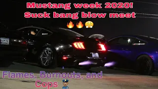 Mustang Week 2020! Gone Wild ! Burnouts, Revving , Cops And Flames 🔥