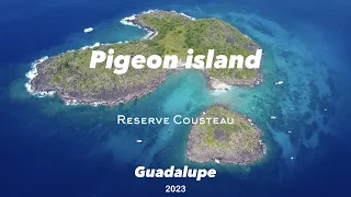 Pigeon Island, Guadalupe sailing and scuba diving