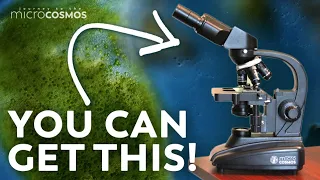 BONUS VIDEO: The Microcosmos Microscope