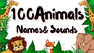 100 Animals for Kids in English | Educational Video | Animals for Kids to Learn #animal