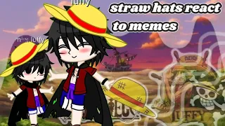 straw hats reacting to memes from the @nubinha piece channel 《 one piece 》(part 1)