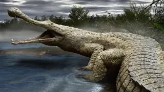 Top 10 Heaviest and Largest Crocodiles in The World