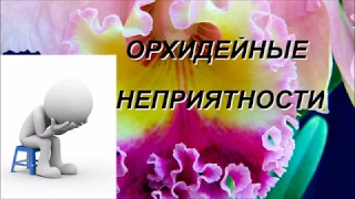 ОРХИДЕЙНЫЕ НЕПРИЯТНОСТИ