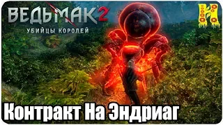 Ведьмак 2: Убийцы королей Прохождение №13 Контракт На Эндриаг