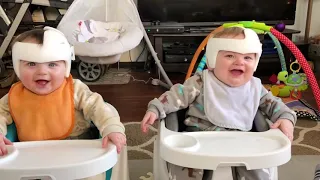 Fun And Fails Baby Siblings Playing Together // babies love
